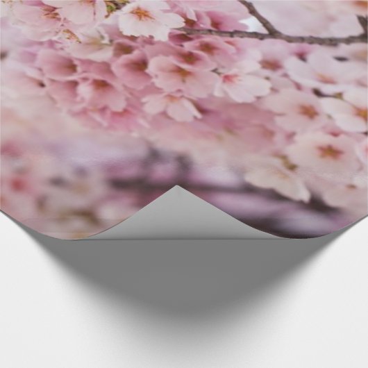 Cherry Blossoms Geschenkpapier (Ecke)