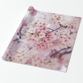 Cherry Blossoms Geschenkpapier