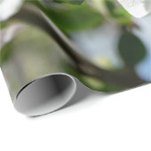 Cherry blossoms. geschenkpapier (Rolleneckpunkt)