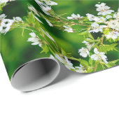 Cherry Blossoms Geschenkpapier (Rolleneckpunkt)