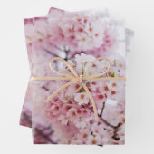 Cherry Blossoms Geschenkpapier Set (Beispiel)