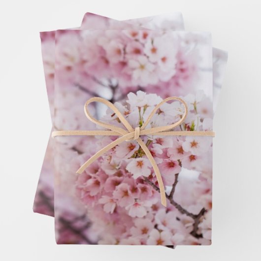 Cherry Blossoms Geschenkpapier Set (Beispiel)