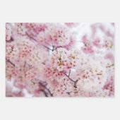 Cherry Blossoms Geschenkpapier Set (Vorderseite)