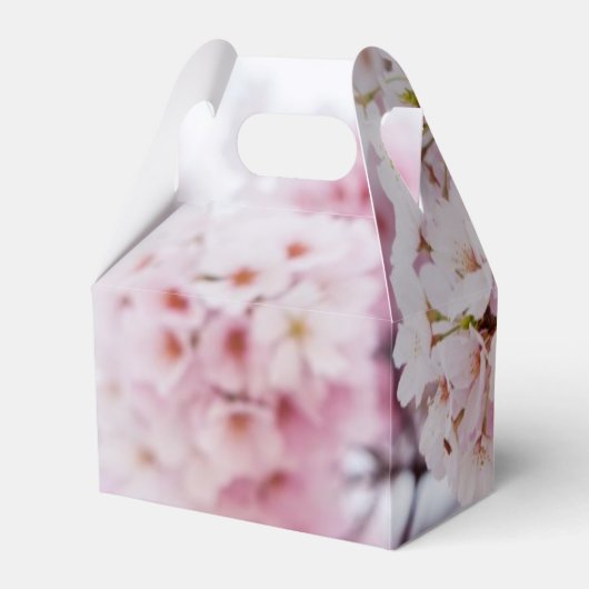 Cherry Blossoms Geschenkschachtel (Rückseite)