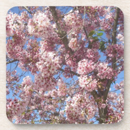 Cherry Blossoms Getränkeuntersetzer