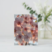 Cherry Blossoms: Japan  Postkarte (Stehend Vorderseite)