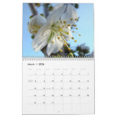 CHERRY BLOSSOMS Kalender Apple Blossom Pear Peach (Mär 2026)