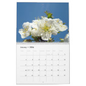 CHERRY BLOSSOMS Kalender Apple Blossom Pear Peach (Jan 2026)