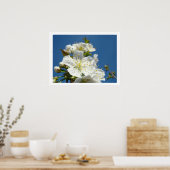 Cherry Blossoms Kunstdrucke Spring Blue Sky Poster (Küche)