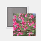 Cherry Blossoms Magnet (Vorderseite/Rückseite)