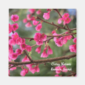 Cherry Blossoms Magnet (Vorne)