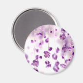 Cherry Blossoms Magnet (Vorderseite/Rückseite)