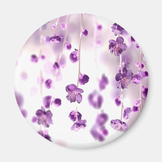 Cherry Blossoms Magnet (Vorne)