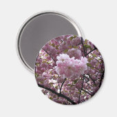 Cherry Blossoms Magnet (Vorderseite/Rückseite)