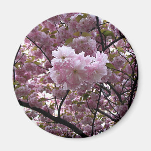Cherry Blossoms Magnet
