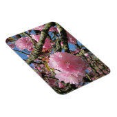 Cherry Blossoms Magnet (Rechte Seite)