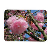 Cherry Blossoms Magnet (Horizontal)