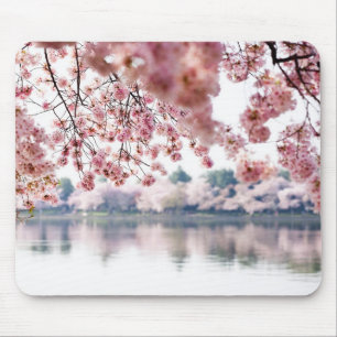 Cherry Blossoms Mousepad