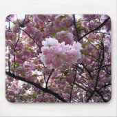 Cherry Blossoms Mousepad (Vorne)