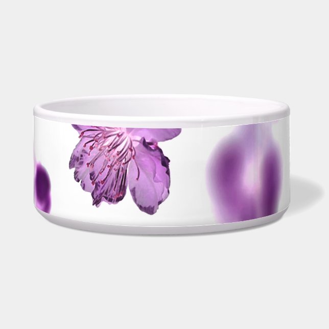 Cherry Blossoms Napf (Vorderseite)