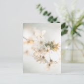 Cherry Blossoms Nature Foto Postkarte (Stehend Vorderseite)