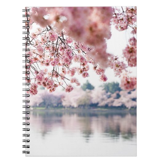 Cherry Blossoms Notizblock (Vorderseite)