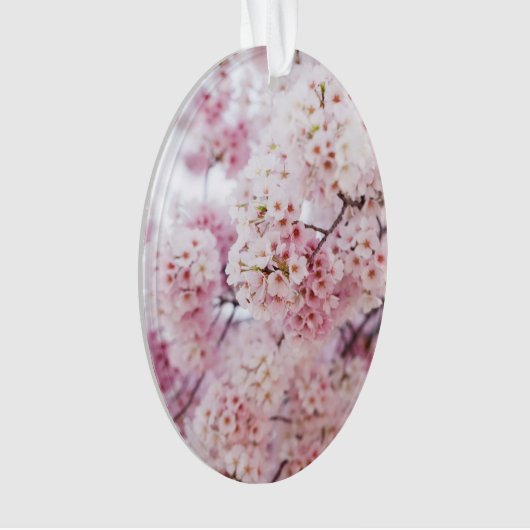 Cherry Blossoms Ornament (Vorderseite)