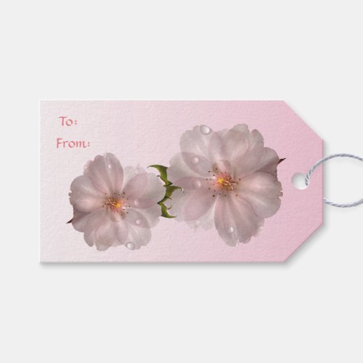 Cherry Blossoms Pack mit Geschenkartikeln Geschenkanhänger (Vorderseite (Horizontal))