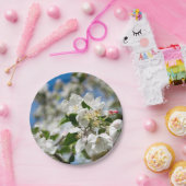 Cherry blossoms. pappteller (Party)