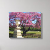 Cherry Blossoms Paris Frankreich Canvas Print Leinwanddruck (Vorderseite)