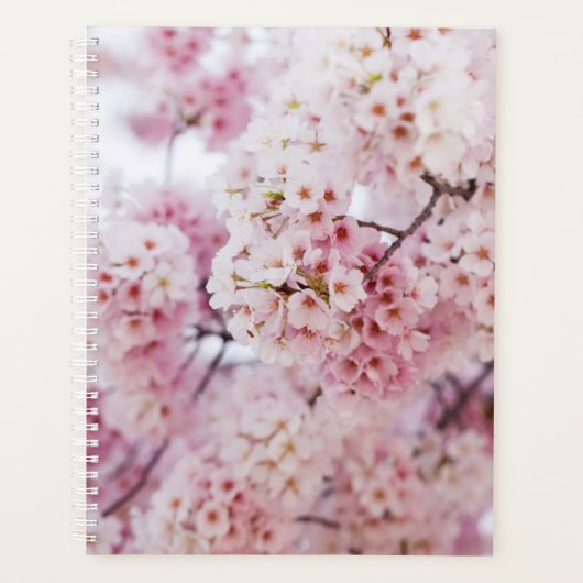 Cherry Blossoms Planer (Vorderseite)