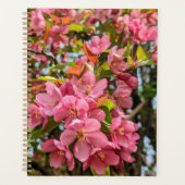 Cherry Blossoms Planer (Vorderseite)