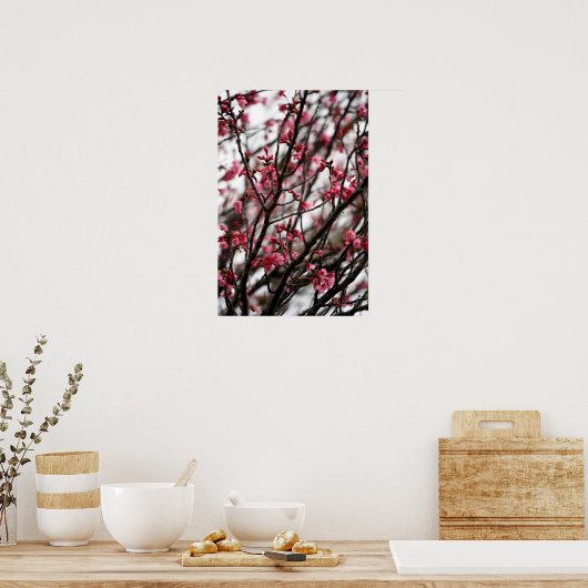 Cherry Blossoms Poster (Küche)