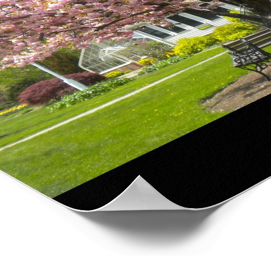 Cherry Blossoms Poster (Ecke)