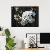 Cherry Blossoms Poster (Heimbüro)