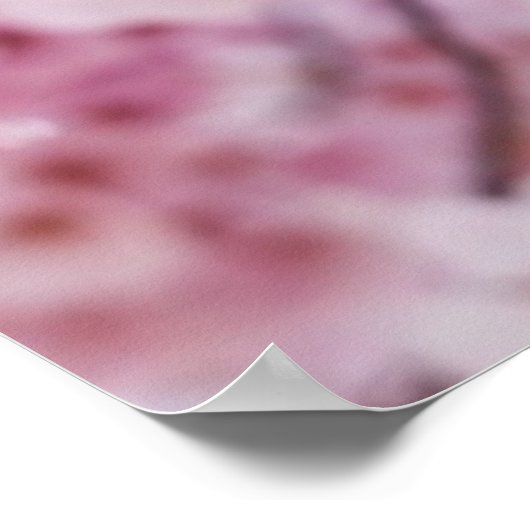 Cherry Blossoms Poster (Ecke)