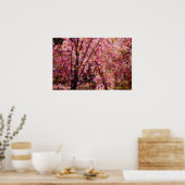 Cherry Blossoms Poster (Küche)