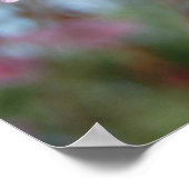 Cherry Blossoms Poster (Ecke)