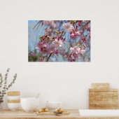 Cherry Blossoms Poster (Küche)