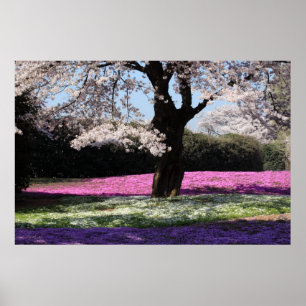 CHERRY BLOSSOMS POSTER