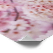 Cherry Blossoms Poster (Ecke)
