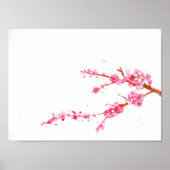 Cherry Blossoms Poster (Vorne)