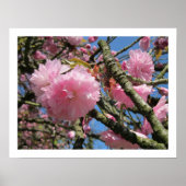 Cherry Blossoms Poster (Vorne)