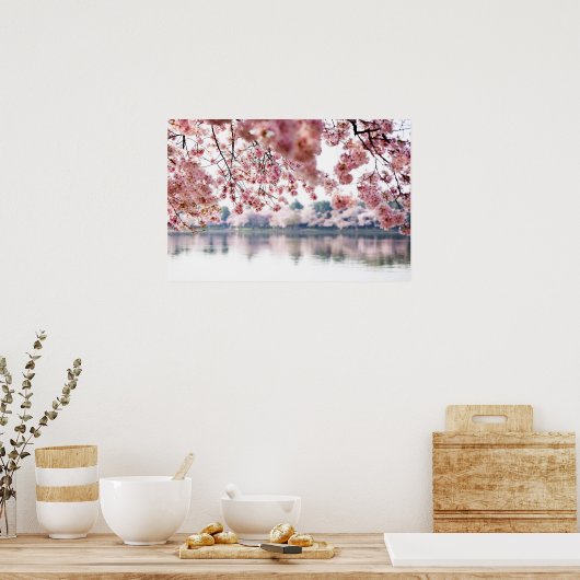 Cherry Blossoms Poster (Küche)