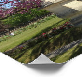 Cherry Blossoms Poster Paper (Matte) (Ecke)