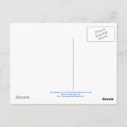 Cherry Blossoms Postkarte (Rückseite)