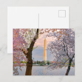 Cherry Blossoms Postkarte (Vorne/Hinten)