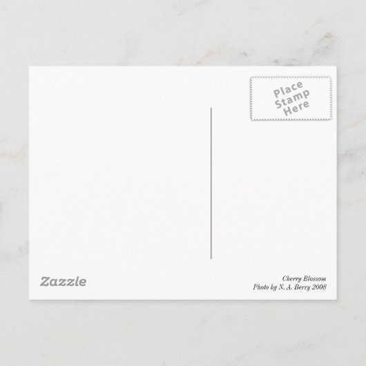 Cherry Blossoms Postkarte (Rückseite)