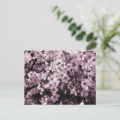 Cherry Blossoms Postkarte (Stehend Vorderseite)