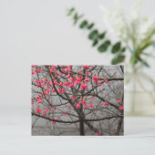 Cherry Blossoms Postkarte (Stehend Vorderseite)